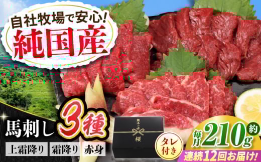 【全12回定期便】『純国産』熊本の味 馬刺し お試し 3種 セット 計約210g(2〜3人前)上霜降り 霜降り 赤身 タレ付 馬さし 馬肉 おためし 熊本 合志 おろし生姜付き 冷凍 定期【有限会社 九州