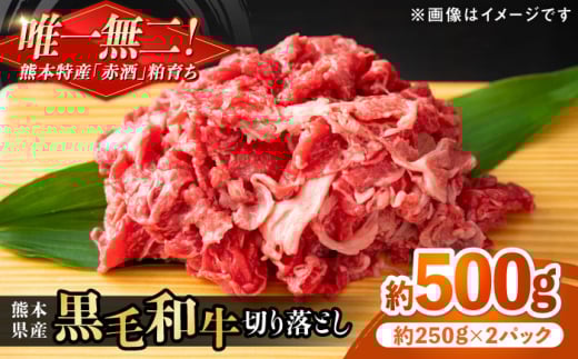熊本県産 『原田畜産』 黒毛和牛 切り落とし 計約500g(約250g×2パック) 牛肉 牛 【有限会社 九州食肉産業】 黒毛 和牛 国産 牛丼 スタミナ丼 プルコギ丼 肉炒め ハヤシライス カレー 野菜炒