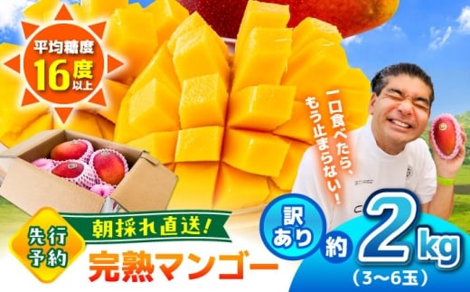 【2026年発送分 先行予約】【訳あり】  菊池マンゴー約2kg(3〜6玉) L〜4Lサイズ 【友枝マンゴー農園】果物 フルーツ マンゴー アーウィン くだもの 旬 期間限定 季節限定 スイーツ 国産 [A