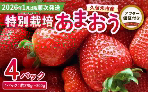 ystI2026N1ȍ~͂zʍ͔|܂ 4pbN ӂGR_Y_ ܂  270g ` 300g 4pbN 嗱 Z Â ʍ͔| S S ① ʕ t[c Xgx