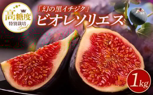 特別栽培 ビオレソリエス(黒イチジク)_特別栽培 ビオレソリエス 黒イチジク 計1kg イチジク 250g × 4パック 幻の黒イチジク ポリフェノール 希少 久留米市内で生産 福岡県 久留米市 お取り