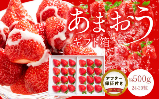 あまおうギフト箱(24-30粒)_予約受付 あまおう ギフト 箱 24 〜 30粒 くるっぱオマケシール付き 国産 福岡県産 ブランドいちご いちごの王様 アフター保証 食べ方いろいろ 甘い 果物 フルー