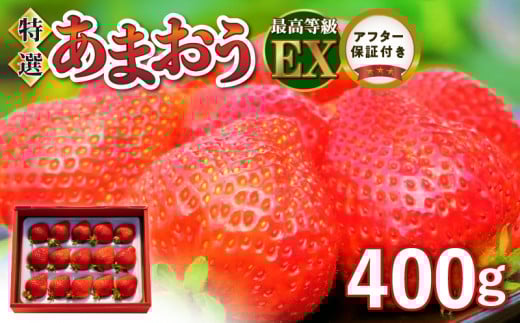 ���I���܂��� 400g_���ʌ��� ������ �G�N�Z�����g ���I ���܂��� 400g ���ʍ͔| EX �F��_�� �傫�� ���邤�_�� ������ �v���Ďs �̂ꂽ�� �_�ƒ��� �t���[�c �ʕ� �① �����p �ꗱ ���J�ȍ���