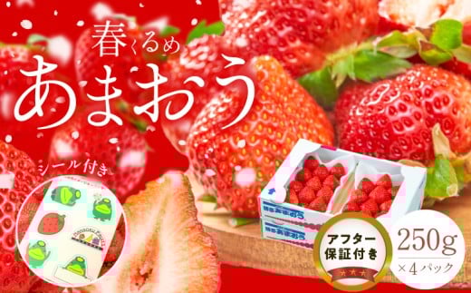 Yytz܂4pbN_t ܂ 250g × 4pbN v 1kg V[t ① Z Â ʏ` At^[ۏ SS Y  ʕ AW  t[c XC[c X[
