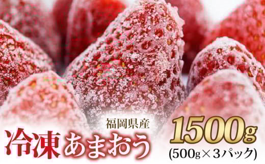 福岡県産 冷凍あまおう 摘みたて 1,500g(500g×3パック)_福岡県産 冷凍 あまおう 摘みたて 1,500g 500g × 3パック デザート 果物 いちご いちごの王様 冷凍いちご 食べ方いろいろ ヨーグルト アイス