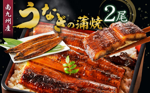 うなぎの蒲焼き2尾セット_皮はパリッと身はジューシー 鰻 蒲焼き 2尾 タレ 南九州産うなぎ こだわり製法 真空パック 冷凍 柳栄館 食品 加工品 国産うなぎ うな丼 うな重 ひつまぶし 土用 丑