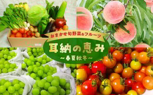 おまかせ旬野菜&フルーツ 耳納の恵み 春夏秋冬_旬 野菜 フルーツ おまかせ セット 2ケース お取り寄せ グルメ 野菜セット 新鮮 農家直送 季節 季節野菜 旬野菜 旬フルーツ 果物 春野菜 夏野
