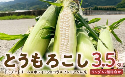 【2026年6月より順次発送】とうもろこし【ドルチェドリーム、ホワイトショコラ、プレミアム味来】ランダム2種詰合せ3.5kgセット_とうもろこし 2種 詰合せ 計 3.5kg ドルチェドリーム ホワイト