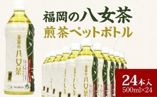 福岡の八女茶煎茶ペットボトル500ml×24本_福岡の八女茶煎茶 ペットボトル 500ml × 24本 緑茶 茶栽培農家 八女茶 甘み さっぱり 新鮮 香り 日本茶 まとめ買い 1ケース 水分補給 お茶 ソフトドリ