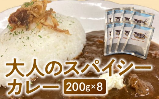 大人のスパイシーカレー200g×8_大人のスパイシーカレー200g×8_Ca021福岡県久留米市22000鍋セット・総菜・加工食品総菜