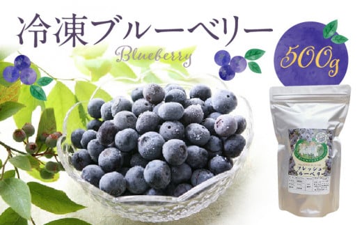 福岡県産 冷凍ブルーベリー 500g_ブルーベリー 冷凍 500g 1パック 福岡県産 果物 フルーツ 冷凍フルーツ デザート おやつ 冷凍食品 食品  お取り寄せ お取り寄せフルーツ 美味しい 九州 国産 ト