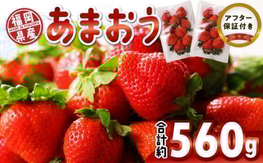 福岡県産 あまおう 約560g(約280g×2パック)_いちご あまおう 2026年 1月 上旬より発送 約 280g × 2パック 合計 約 560g 福岡県産 食べごたえのある大きさ 果汁 スイーツサンド パフェ ショートケ