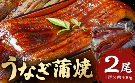 特大うなぎ蒲焼約400g×2尾_特大 うなぎ 蒲焼 無頭 約 400g 2尾 秘伝のタレ グルメ 食品 加工品 魚 魚介類 おかず 惣菜 ご飯のお供 酒の肴 うな丼 ひつまぶし お茶漬け 鰻巻き 冷凍 パック 太輔商