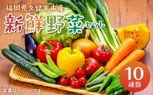 福岡県久留米市産 新鮮野菜セット_福岡県 久留米市産 新鮮野菜 セット 10品目 約10kg 旬の野菜 詰め合わせ 新鮮 季節 野菜 水菜 小松菜 ほうれん草 アスパラ キャベツ オクラ レイシ トマト 胡