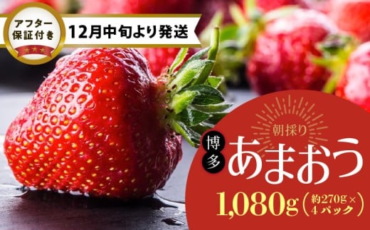 y12{菇z_ƒ ̂VNy܂z270g×4pbN_  ܂ _ƒ  270g × 4pbN ̂ VN ʕ t[c Xg׃[ ① Hi H