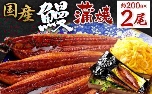 国産 鰻蒲焼200g2尾_ 国産 鰻 蒲焼 200g 2尾 ふっくら 肉厚 鮮度 地下水 ミネラル 秘伝のタレ 四度付け 甘め 特製 タレ 家庭 手軽 本格的な ご飯 お茶漬け ひつまぶし 鰻巻き 真空パック 湯煎 お