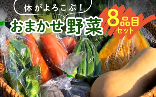 体がよろこぶ!おまかせ野菜8品目セット_体がよろこぶ 野菜 8品目 セット おまかせ 食べ頃 旬 品種 詰め合せ 新鮮 冷蔵発送 ヤングコーン ピーマン キュウリ オクラ ナス 白ナス ミニトマト