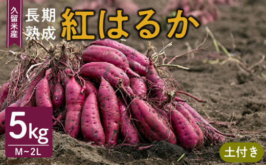 福岡県久留米市産 長期熟成紅はるか 5kg M〜2L 土付き福岡県久留米市8000野菜・きのこじゃがいも・イモ類
