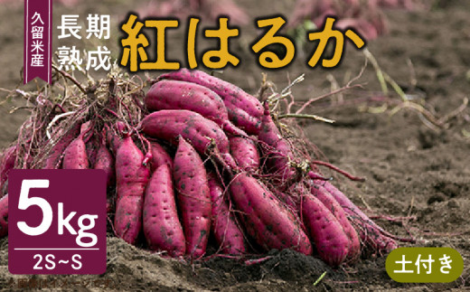 福岡県久留米市産 長期熟成紅はるか 5kg 2S〜S 土付き福岡県久留米市8000野菜・きのこじゃがいも・イモ類