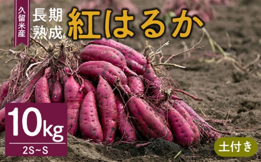 vĎsY ng͂邩 10kg  2S`S yt_܂ g͂邩 10kg 2S ` S TCY yt vĎY ͔|Ԓ_sgp n n i Â ˂Ƃ Ƃ { 