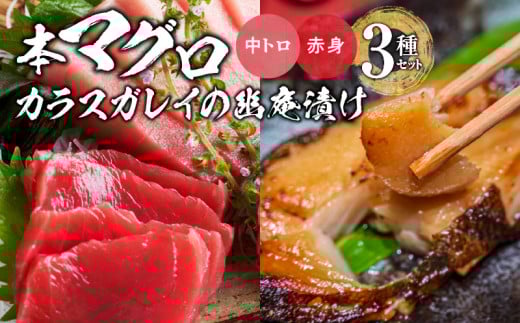 国産本マグロとカラスガレイの幽庵漬け詰め合わせ 3種セット_国産本マグロ カラスガレイ 幽庵漬け 詰め合わせ 3種セット 海鮮 海産物 本マグロ 赤身柵 中トロ 真空パック マイナス60℃ 液体