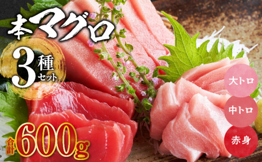 国産本マグロ 食べ比べセット_国産本マグロ 食べ比べ セット 海鮮 海産物 本マグロ 大トロ 中トロ 赤身 真空パック マイナス60℃ 液体冷凍 魚 鮮魚 刺身 柵 海鮮丼 魚介類 マグロ丼 漬け丼 寿