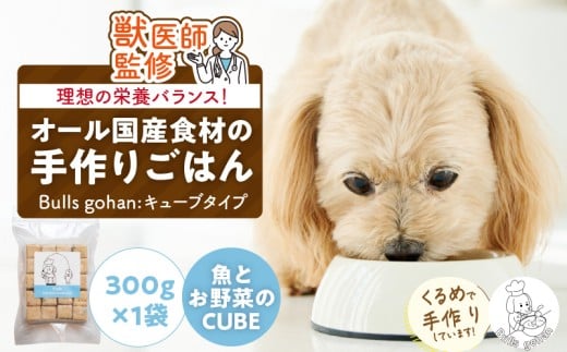 ペットフード 無添加ドッグフード・ブルズごはんCUBEタイプ 300g×1袋(魚)_CUBE型 20個入×1袋 無添加ドッグフード 1袋300g 魚 国産 手作り アレルギー ウェット 子犬 シニア犬 冷凍 ヒューマングレ