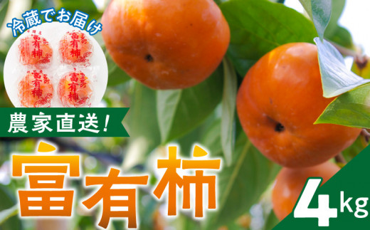 農園直送!富有柿(冷蔵)_農園直送 富有柿 約 4kg 田主丸地域 旬 柿 田主丸町観光柿部会 農園 直送 国産 九州産 田主丸町産 秋の味覚 フルーツ 果物 旬のフルーツ デザート 食品 食べ物 冷蔵