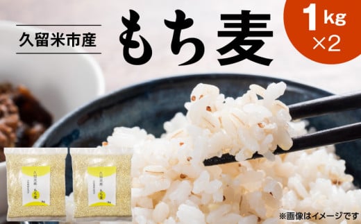 久留米市産もち麦(1kg×2)_久留米市産 もち麦 1kg × 2 九州産 くすもち二条 食物繊維 豊富 便通促進 満腹感 栄養豊富 タンパク質 筋肉 美肌 美髪 ビタミン ミネラル 免疫力 疲労回復効果 もち