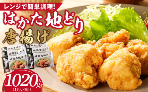 はかた地どり から揚げ1020g_Ax128福岡県久留米市12000肉その他 肉
