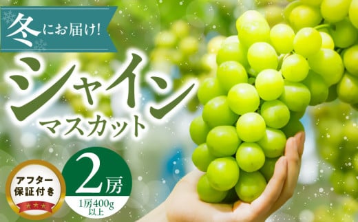 【2025年11月よりお届け】冬にお届け!シャインマスカット×2房_冬にお届け! シャインマスカット 400g以上 × 2房 冷蔵技術 冬でも美味しい 贈答用 おすすめ 国産 ぶどう マスカット 果物 フル