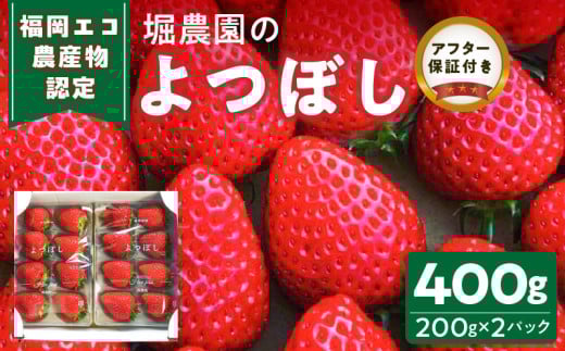 GR_YF@x_̂ڂ400g_GR_YF x_ ڂ 200g × 2pbN v 400g n H׍  `h Kx H _ Ȃ L  L oX l
