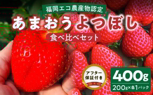 福岡県エコ農産物認定 堀農園のあまおう&よつぼし食べ比べセット400g(200g×2パック)_ エコ農産物認定 堀農園 あまおう よつぼし 各 200g × 1パック 計 400g 食べ比べ セット 完熟 食べ頃 いち