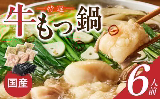 博多名物 国産牛 特選もつ鍋 醤油味 6人前セット_Cn130福岡県久留米市10000肉牛肉