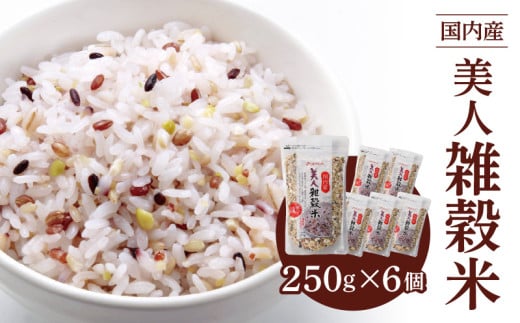 国内産 美人雑穀米 250g×6個 計1500g_Gr009福岡県久留米市10000米・パン玄米・雑穀米・もち米・餅