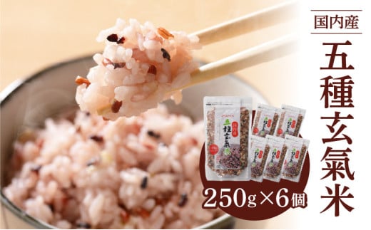 国内産 五種玄氣米 250g×6個 計1500g_Gr010福岡県久留米市10000米・パン玄米・雑穀米・もち米・餅