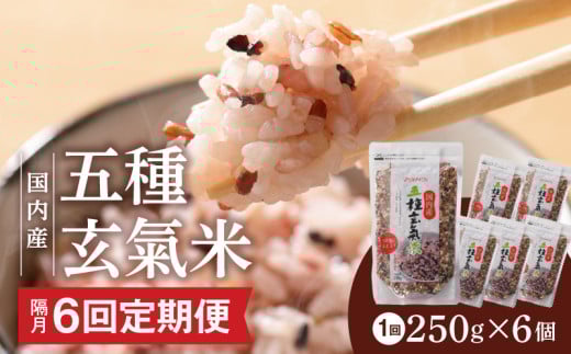 yu6@ցzY ܎팺 250g×6 1500g×6_Tk026vĎs58000āEpāEGāEāE