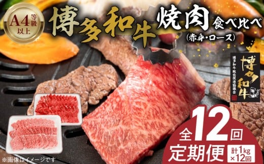 博多和牛赤身・ロース焼肉食べ比べ 計1kg 12回定期便 _Tk055福岡県久留米市336000肉牛肉
