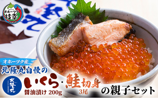北隆丸自慢のいくら醤油漬け200g・鮭切身3尾の親子セット オホーツク枝幸産【 いくら イクラ 鮭 サケ サーモン 鮭卵 魚卵 魚貝 魚介 加工食品 北海道 オホーツク 枝幸 】北海道枝幸町17000魚