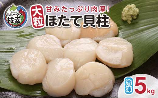 【枝幸ほたて】甘みたっぷり肉厚!大粒冷凍ほたて貝柱5kg 山武水産北海道枝幸町66000魚介・海産物貝類