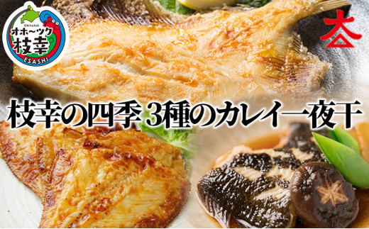枝幸の四季 3種のカレイ一夜干(宗八カレイ×8・赤カレイ×6〜8・ナメタカレイ×4)北海道枝幸町20000魚介・海産物干物
