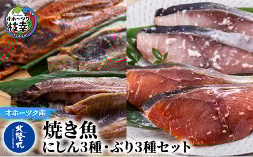 北隆丸の焼き魚 にしん3種・ぶり3種セット(にしん一夜干×6〜8枚・塩麹漬×6〜8枚・西京漬×6〜8枚)(ぶり塩麹漬100g×2・醤油麹漬100g×2・ぶりかま100g×2) 北海道 魚介 詰合せ北海道枝幸町210