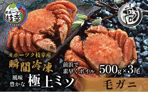 オホーツク枝幸産 毛ガニ500g×3尾(-196℃液体窒素瞬間凍結品)高田商店 【 毛カニ 蟹 かに カニ 北海道 】北海道枝幸町46000魚介・海産物カニ