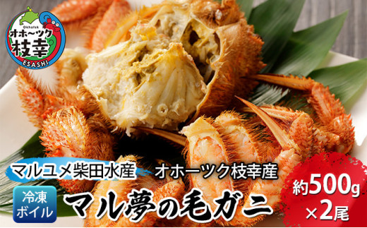 マル夢の毛ガニ約500g×2尾【冷凍ボイル】オホーツク枝幸産 カニ 蟹北海道枝幸町26000魚介・海産物カニ