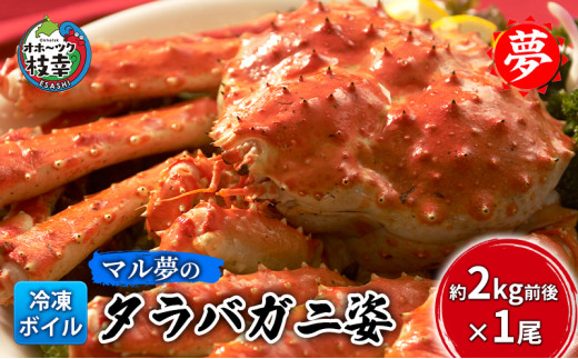 マル夢のタラバガニ姿 約2kg×1尾【冷凍ボイル】オホーツク枝幸産北海道枝幸町38000魚介・海産物カニ