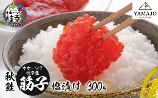 Iz[cN}KY H ؎q300gmЂnR㍲Y y L   kC Iz[cN }K zkC}K19000ECY