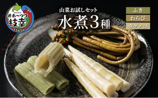 山菜お試しセット 水煮3種(フキ・ワラビ・タケノコ)【オホーツク枝幸】北海道枝幸町9000鍋セット・総菜・加工食品その他 鍋セット・総菜・加工食品