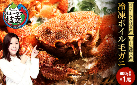 Ⓚ{CуKj 800gO×1mIz[cN}KYnR㍲Y Jj  уKj kC CNkC}K25000ECYJj