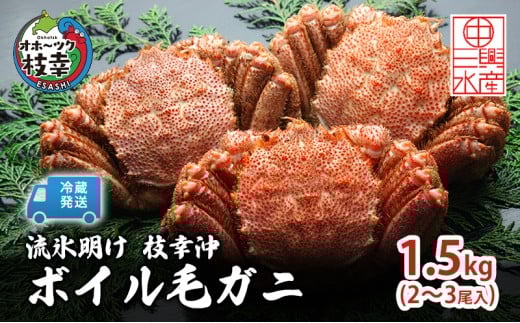 q①rX }K {CуKj 1.5kg (2`3) s\y2026N3\z{̖omےOYnIz[cN}K Oly I  kC }K zkC}K60000E
