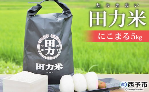 令和7年産 田力米(にこまる)5kg愛媛県西予市20000米・パン白米